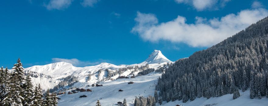 Damüls - Mellau - Faschina ski