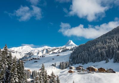 Damüls - Mellau - Faschina ski