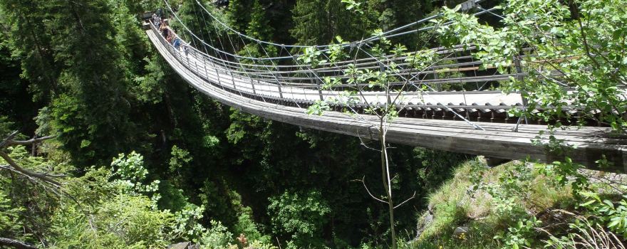 Traversina