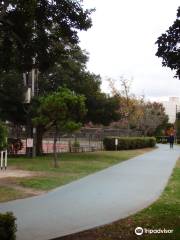 朝霞中央公園陸上競技場