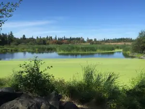 Talking Water Gardens