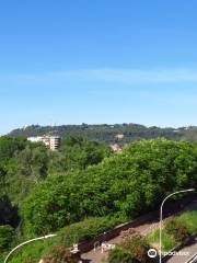 Pont Flaminio