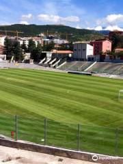 Stadio Tommaso Fattori