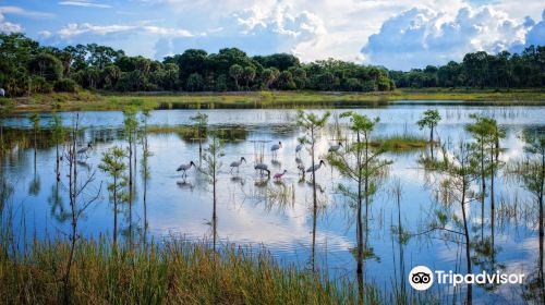 Winding Waters Natural Area