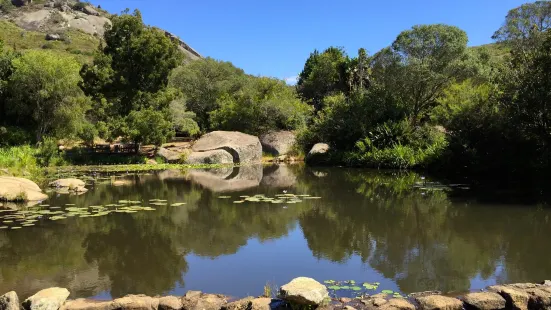 Paarl Mountain Nature Reserve