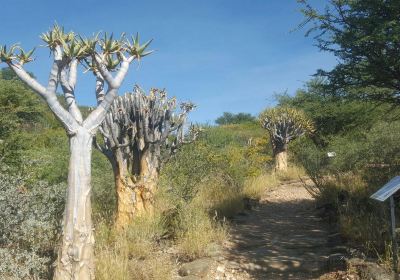 National Botanic Garden of Namibia