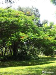 Deerfield Beach Arboretum