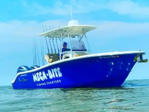 Mega-Bite Fishing Charters, LLC.