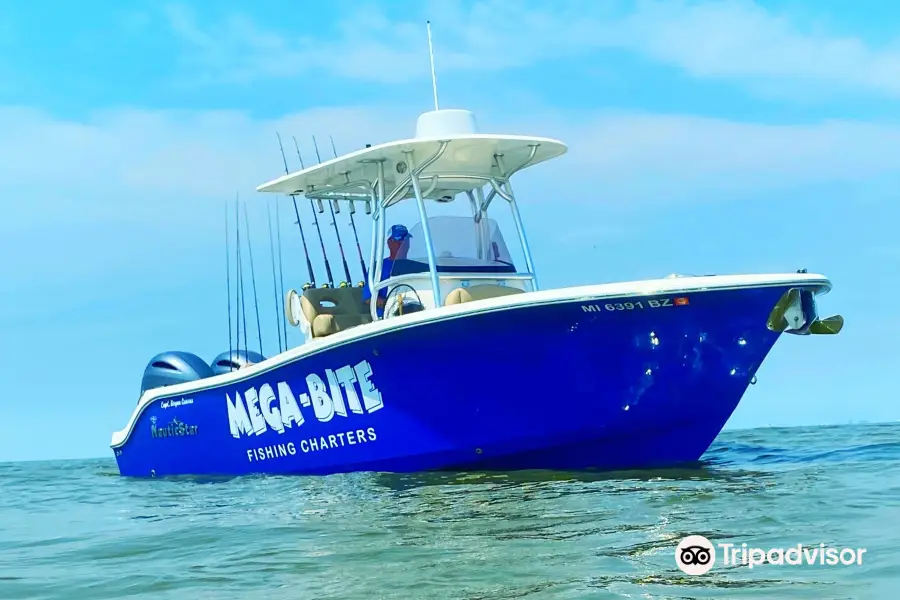 Mega-Bite Fishing Charters, LLC.