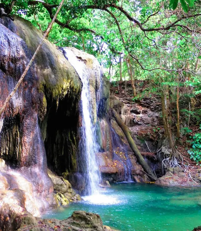 Mojo Island