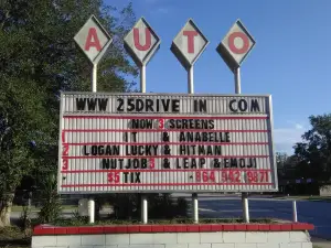 25 Drive In Auto Theatre