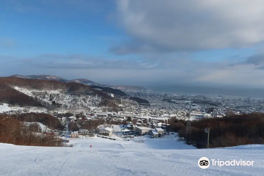 小樽天狗山滑雪場