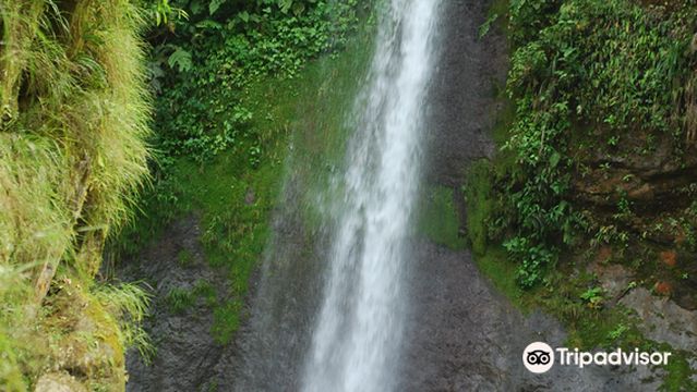 Talamanca Adventures