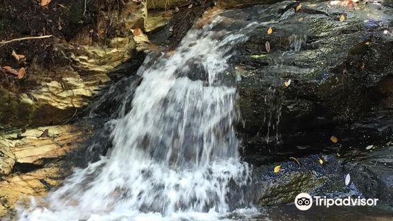 F.D. Roosevelt State Park