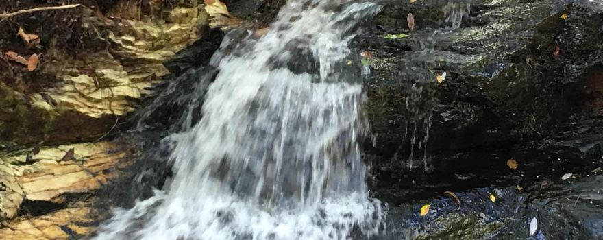 F. D. Roosevelt State Park