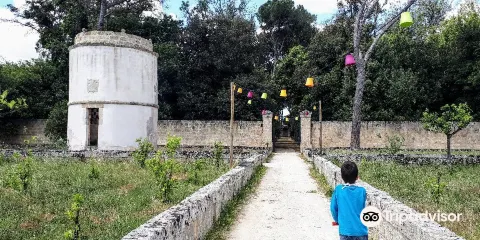 Palazzo Baronale di Tiggiano