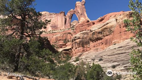 Angel Arch