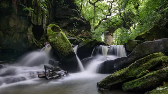 Healey Dell Nature Reserve