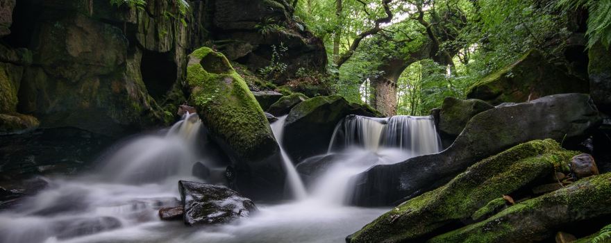 Healey Dell Nature Reserve