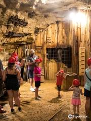 The Mining & Rollo Jamison Museums