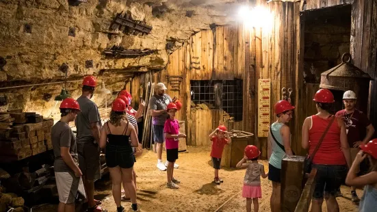 The Mining & Rollo Jamison Museums