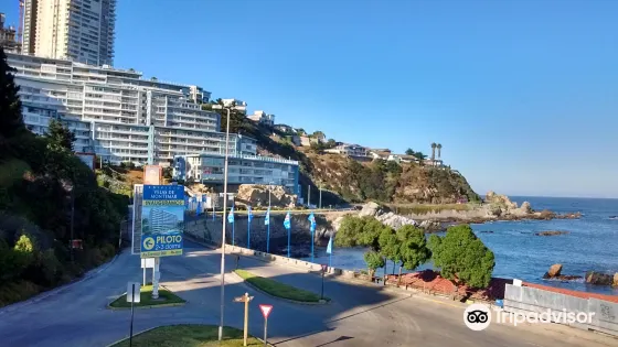 Playa Los Lilenes