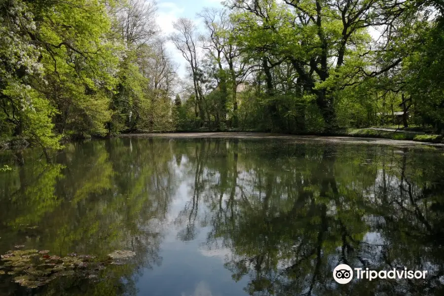 Sárvár Arboretum