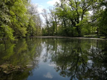 Sárvár Arboretum