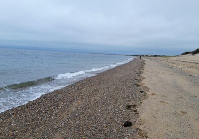 Herring Cove Beach