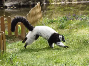 トルニュ動植物園