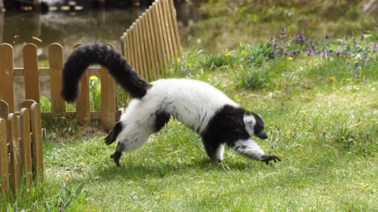 トルニュ動植物園