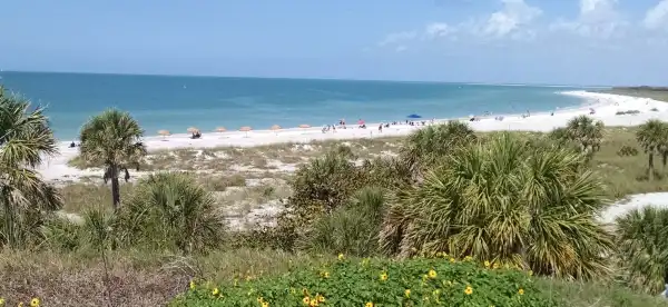 Home2 Suites by Hilton in Pinellas County