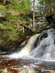 Purgatory Falls - Lower Falls