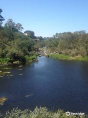 Buckley Falls