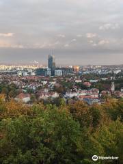 Pachołek hill observation deck