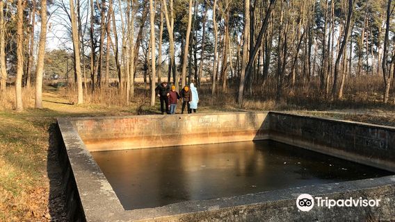 Werwolf (Hitler's Military Headquarters)