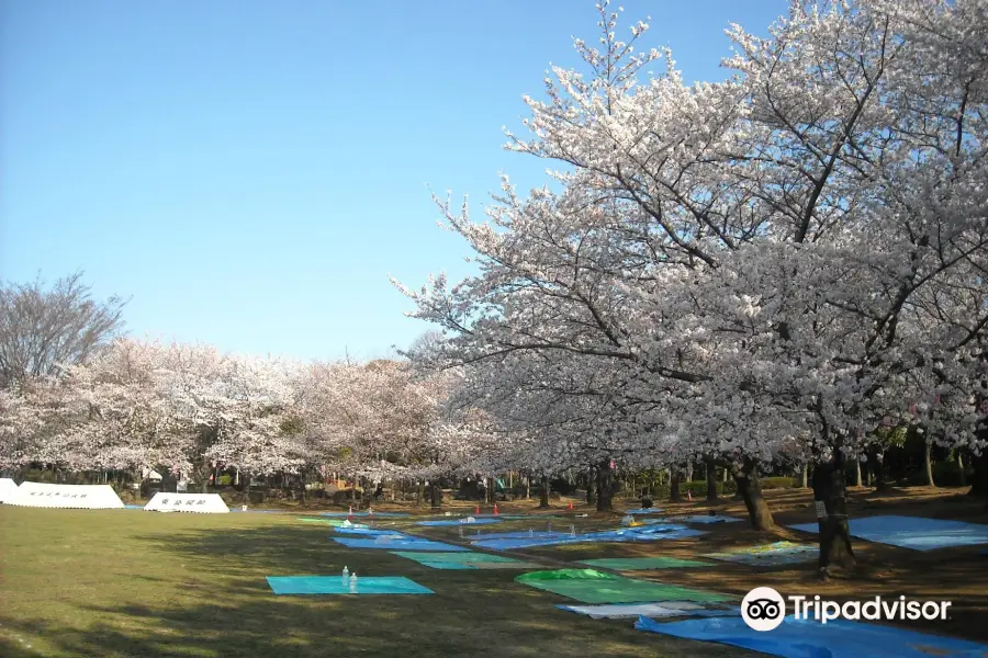 蕨市民公園