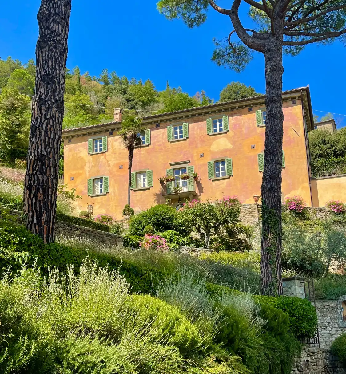 Hotel in zona Villa Bramasole
