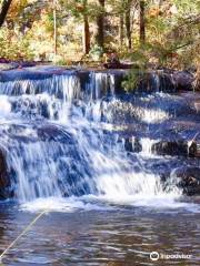 Buffalo National River Park