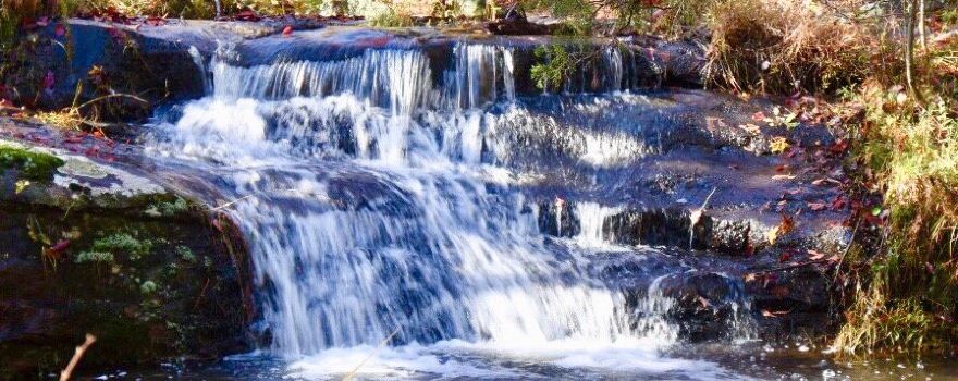 Buffalo National River Park