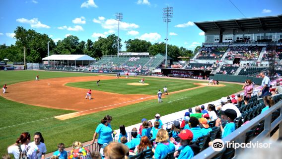 FNB Field