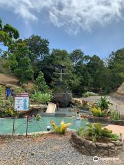 Dr. Paradise Hot Springs