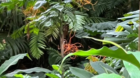 瓦西瓦植物園