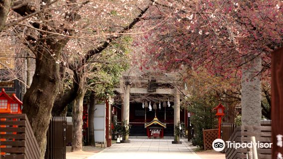 Kanmuri Inari Shrine