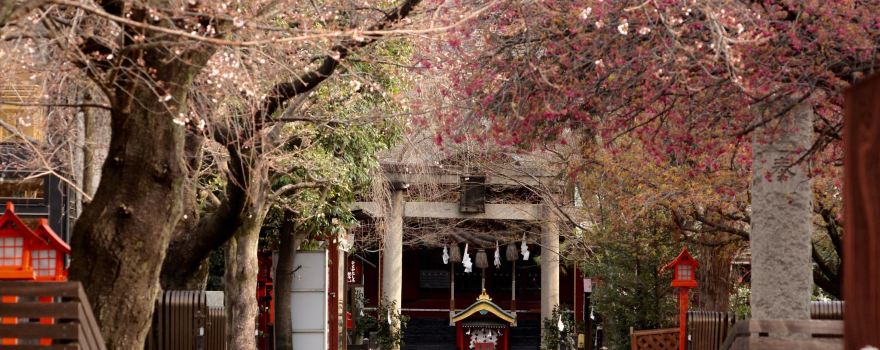 Kanmuri Inari Shrine