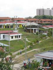 Escuela Superior de Administración Pública - Territorial Tolima