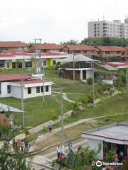 Universidad del Tolima