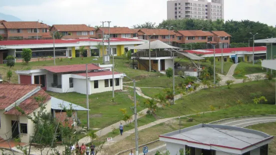 Universidad del Tolima