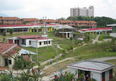 Escuela Superior de Administración Pública - Territorial Tolima