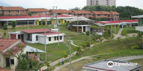 Universidad del Tolima